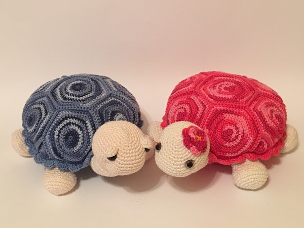 Pattern Turtle Paulina