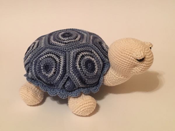 Pattern Turtle Paulina