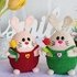 Einfache Häkelanleitung | Frühlingshäschen Amigurumi im Overall