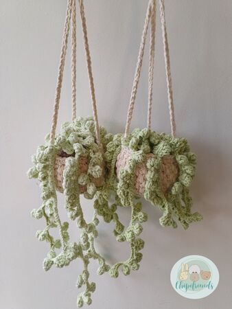 Crochet Pattern, Hanging Sting of Pearls Basket, Succulent Plant Pattern